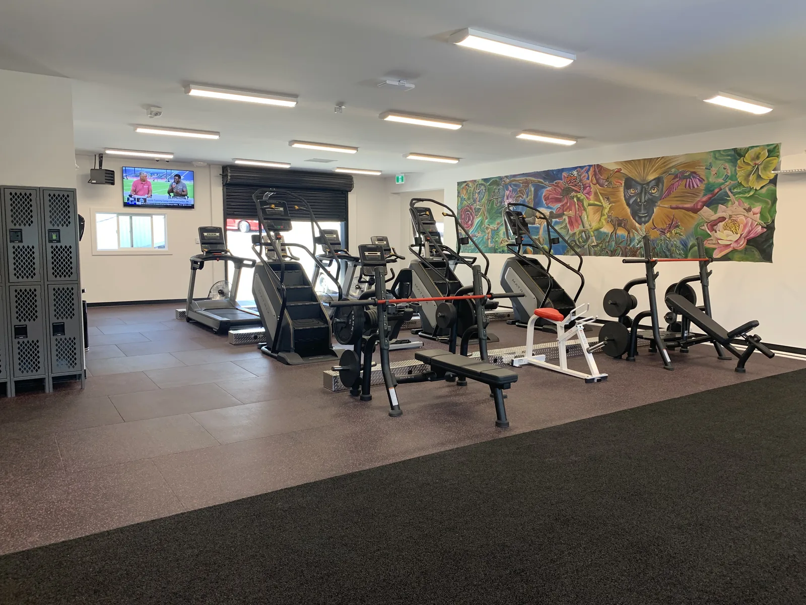 Training floor at Truth Gym Victoria with weight benches, cardio equipment and a painted mural wall