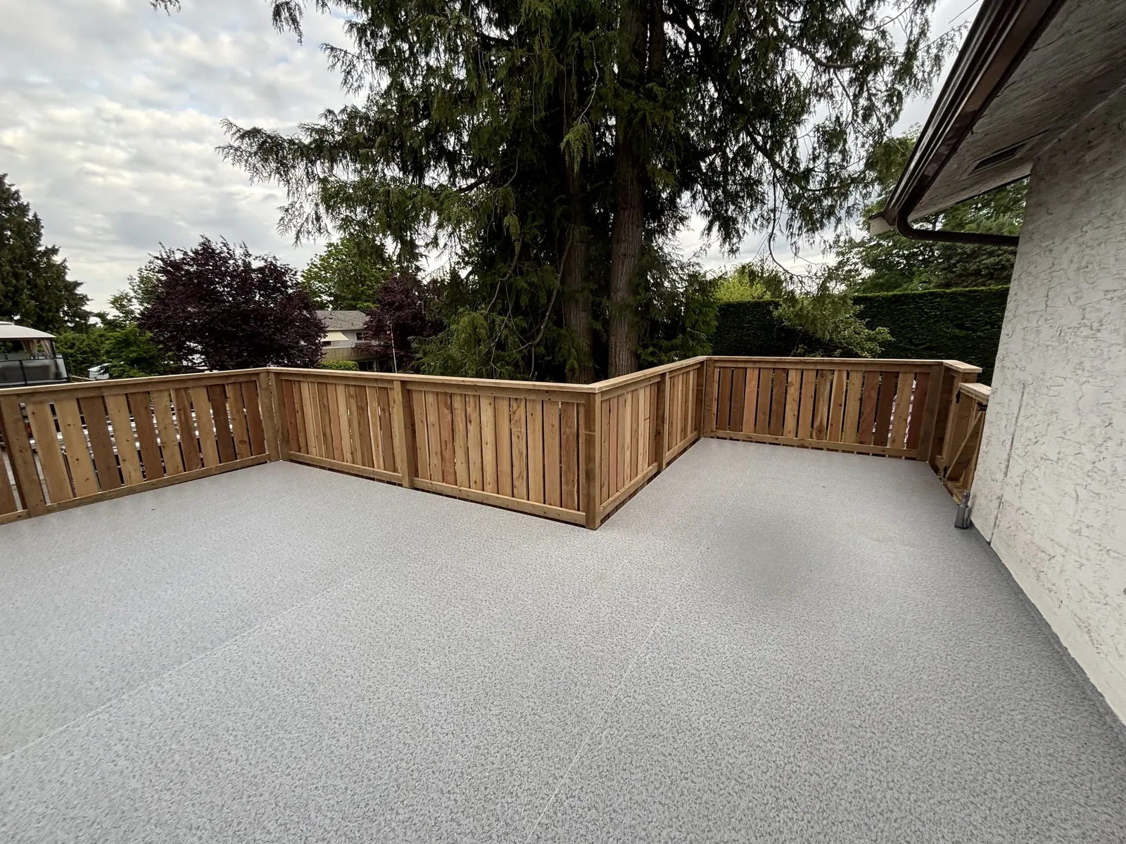 Back garden with a new cedar fence and lawn
