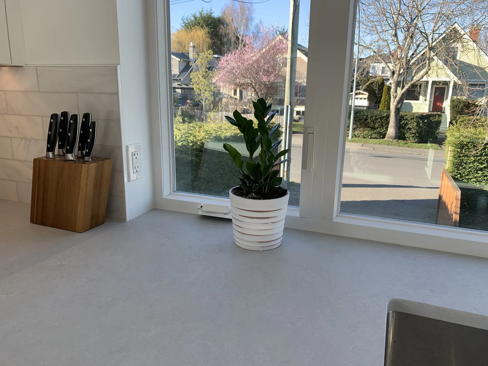 Countertop with a knife block and a plant beside a window