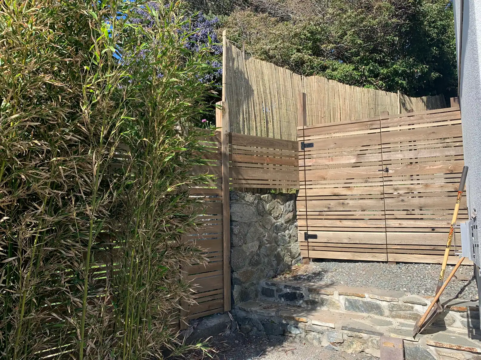 Cedar slat fence beside mature bamboo planting