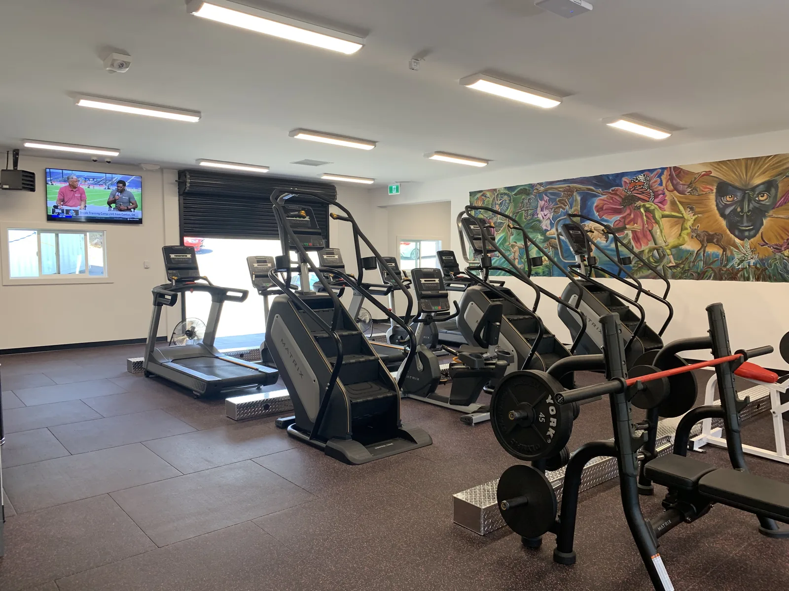 Row of cardio machines with a wall mounted screen and a painted mural at Truth Gym Victoria