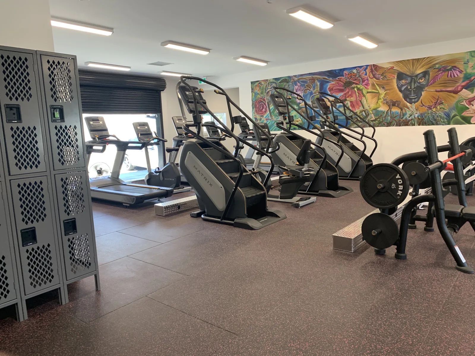 Weight benches, racks and lockers on commercial rubber flooring at Truth Gym Victoria